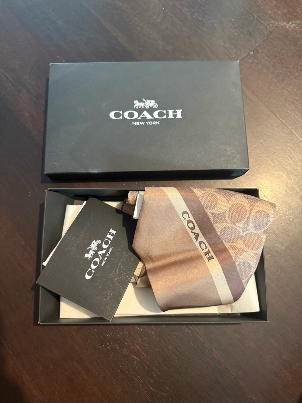 COACH Brown Signature Silk Scarf with Logo Stripe